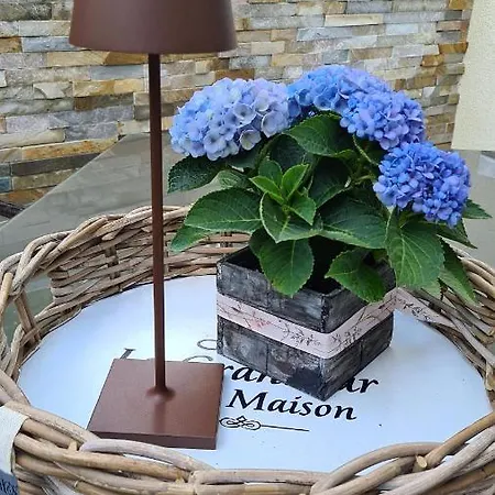 Haus Ilmer * 施图拜河谷新施蒂夫特